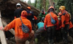 Pascabanjir Bandang Luwu Utara: 36 Meninggal, 40 Hilang, 51 Luka-luka
