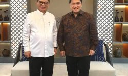 Bertemu Menteri BUMN, Irianto Minta BUMN Membantu Percepatan Pembangunan Kaltara