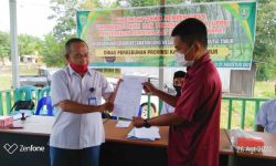 Kaltim Hasilkan Karet Kering 52.817 Ton Per Tahun