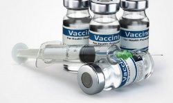 COVID-19, Obat Tradisional Tidak Dapat Menggantikan Peran Vaksin