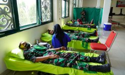 Stok di PMI Langka, Korem 091/ASN Gelar Donor Darah