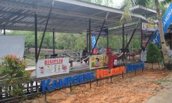 Menengok Kampung Nelayan Berdasi di Balikpapan Beromzet Rp40 juta