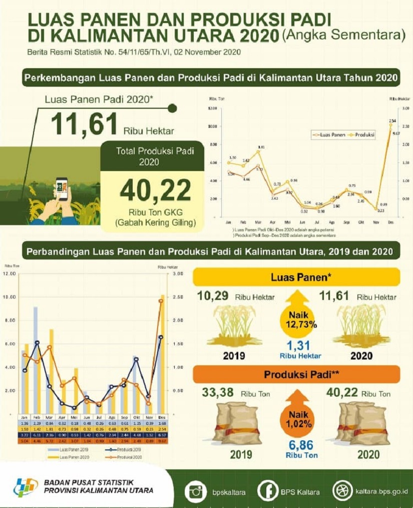 Produksi Beras Kaltara 2020 Diperkirakan 23 720 Ton Niaga Asia