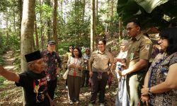 Menengok Hutan 5.000 Hektare di Tuana Tuha yang Masuk Program Kampung Iklim
