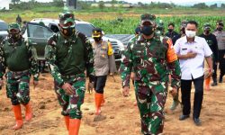 Lahan Persawahan di Tanjung Batu Kukar Bikin Bangga Pangdam Mulawarman