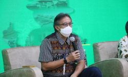 Tahun 2024 Ditergetkan Sudah Terbangun 53 Smelter Minerba