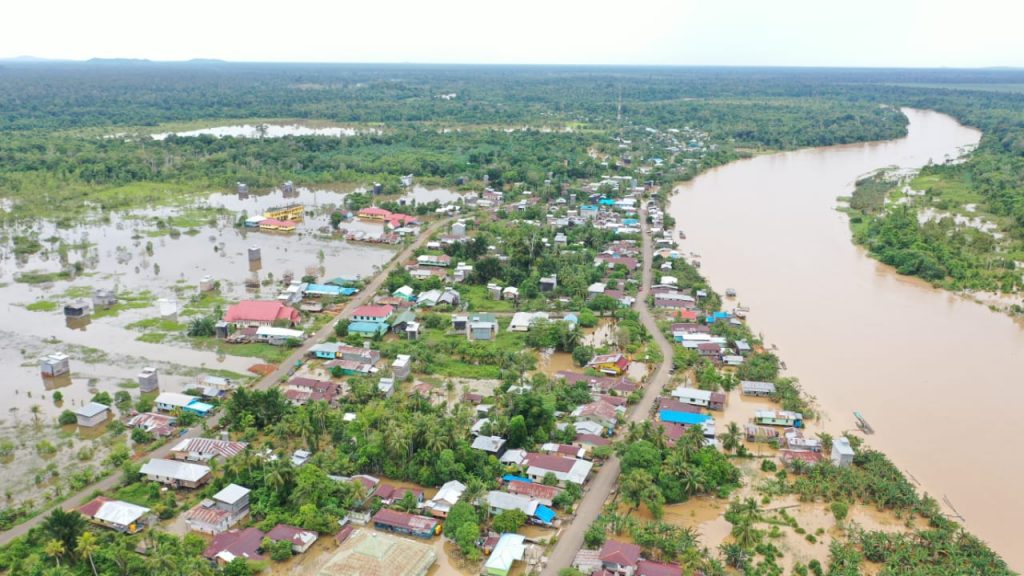 Buaya Dilaporkan Muncul di Kawasan Banjir di Sembakung  Niaga.Asia