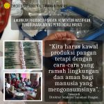 Kendalikan Hama, Yogyakarta Masifkan Penggunaan Agens Pengendali Hayati