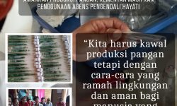 Kendalikan Hama, Yogyakarta Masifkan Penggunaan Agens Pengendali Hayati