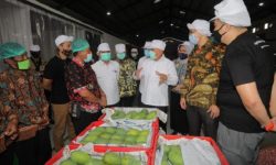 Banpres Produktif Rp28,8 Triliun Belum Semuanya Tersalurkan