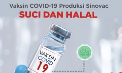 MUI: Vaksin COVID-19 Produksi Sinovac Suci dan Halal