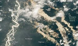 Foto-foto dari NASA Ungkap Keberadaan ‘Sungai Emas’ di Amazon