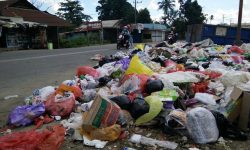 Wali Kota Andi Harun Temui Gubernur Isran, Kebersihan Kota jadi Sorotan