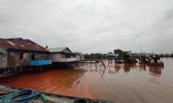 Tim Gakkum Lingkungan Hidup Ambil Sampel Sungai Mahakam Tercemar, Pemilik CPO Dicari