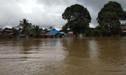 Basarnas : Ada 2.044 KK Terdampak Banjir di Kutim, Evakuasi Terkendala Hujan
