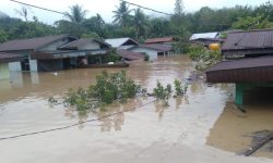 Eko Agus : Air Sungai Kelay Masuk ke Lokasi Tambang PT RUB