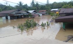 Lebih dari 2.000 KK Terdampak Banjir di Berau