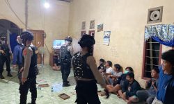 Polisi Gerebek 20 Pejudi Sabung Ayam Lewat Siaran Televisi di Nunukan