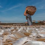 Andi Akmal : Gali Potensi Kekayaan Laut Indonesia Rp19 Ribu Triliun