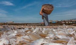 Dorongan Berproduksi UMKM Harus Diimbangi dengan Penyediaan Tempat Penjualan