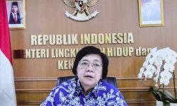 Karhutla Tahun 2022 Mencapai 204 Ribu Hektar