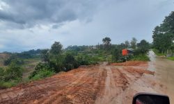 PN Samarinda Vonis Penambang Batubara Secara Ilegal 1 Tahun 7 Bulan dan Denda Rp1 Miliar