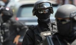Densus 88 Amankan Tersangka Tiga Terduga Teroris di Luwu Timur