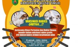 Gratis, Vaksin Rabies Hewan Peliharaan di Sangatta Sampai 6 September