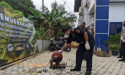 Tiga Pucuk Senpi Dinas Milik KPPBC Nunukan Dimusnahkan