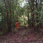 Cerita Tim SAR di Tengah Pencarian Amiruddin yang Hilang di Hutan Anggana di Kukar