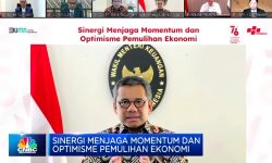 Fleksibilitas APBN Bantu Pulihkan Ekonomi Indonesia