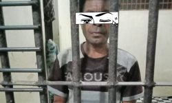 Cabuli Anak Tiri, Pekerja Kebun Sawit di Sei Menggaris Dilaporkan Istrinya ke Polisi