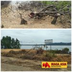 Rusak Mangrove, Penimbunan Pantai di Jalan Lingkar Dihentikan Satpol PP Nunukan