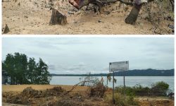 Rusak Mangrove, Penimbunan Pantai di Jalan Lingkar Dihentikan Satpol PP Nunukan