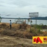 LSM Panjiku Minta Pemerintah Nunukan Tindak Pengrusak Mangrove