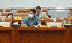 Politisi Partai Demokrat Ajak Masyarakat Kritis Tanggapi Komik Biseksual