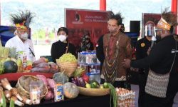 Presiden Ingin Papua Youth Creative Hub Jadi Pusat Pengembangan Talenta Papua