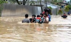 2.751 Jiwa Mengungsi Akibat Banjir Meluas di Aceh Timur