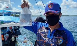Tangkap Ikan Pakai Potassium di Laut Berau, Nelayan Bali Ditangkap