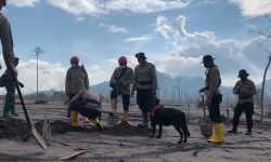 Paska Erupsi Semeru, Tim Gabungan Temukan 43 Korban Meninggal Dunia