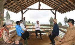 Presiden Telepon Mendag Soal Impor Bawang Saat Petani Panen