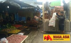 Harga Cabai Rawit di Nunukan Naik jadi Rp 100 Ribu per Kilogram