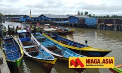 Harga Rumput Laut Nunukan di Tingkat Pengumpul Naik jadi Rp 23 Ribu/Kilogram