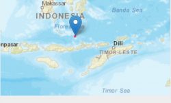Gempa Magnitudo 7,5 Guncang NTT, BMKG Peringatkan Tsunami