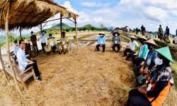 Pemerintah Jamin Ketersediaan Beras Sampai Akhir Tahun 2021