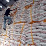 Nasril Bahar Desak Industri Gula Rafinasi Berintegrasi dengan Perkebunan