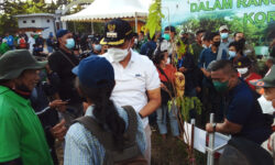 Wali Kota Samarinda: Penanaman Pohon Jangan Hanya Seremonial