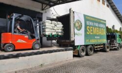 Indonesia Sudah Ekspor 104,1 TonBenih Padi Sembada ke Brunei Darussalam
