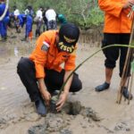 Tahun Emas Basarnas, 177 Bibit Mangrove Ditanam di Teritip Balikpapan