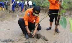 Tahun Emas Basarnas, 177 Bibit Mangrove Ditanam di Teritip Balikpapan